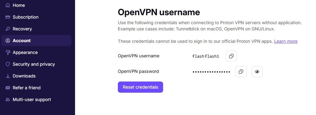ProtonOpenVPN Account info 2